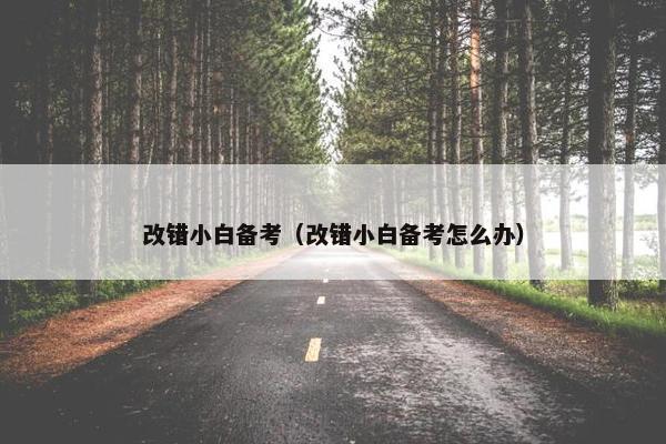 改错小白备考（改错小白备考怎么办）