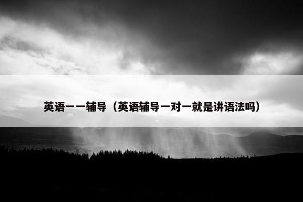 英语一一辅导（英语辅导一对一就是讲语法吗）