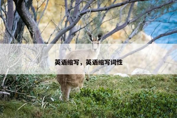英语缩写，英语缩写词性