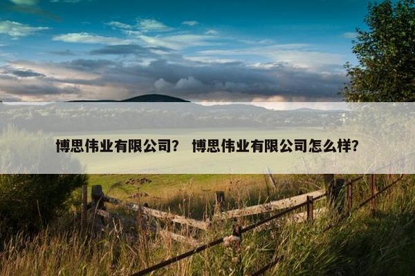 博思伟业有限公司？ 博思伟业有限公司怎么样？