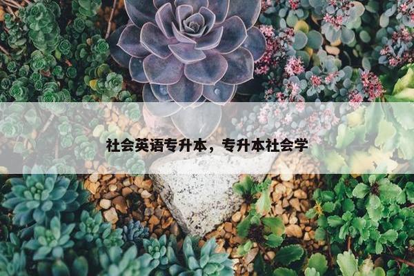 社会英语专升本，专升本社会学