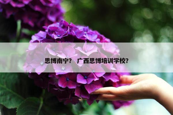 思博南宁？ 广西思博培训学校？