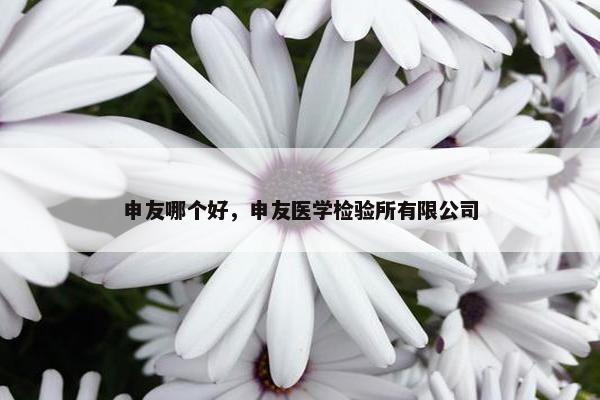 申友哪个好，申友医学检验所有限公司