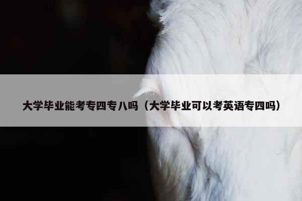 大学毕业能考专四专八吗（大学毕业可以考英语专四吗）