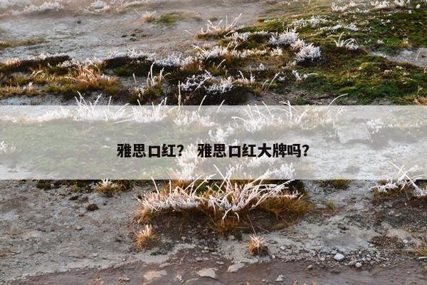 雅思口红？ 雅思口红大牌吗？