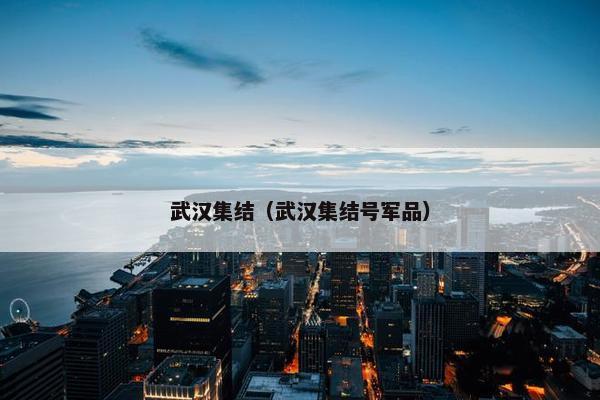 武汉集结（武汉集结号军品）