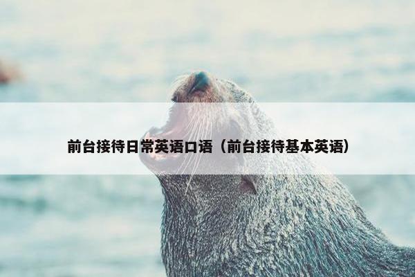 前台接待日常英语口语（前台接待基本英语）