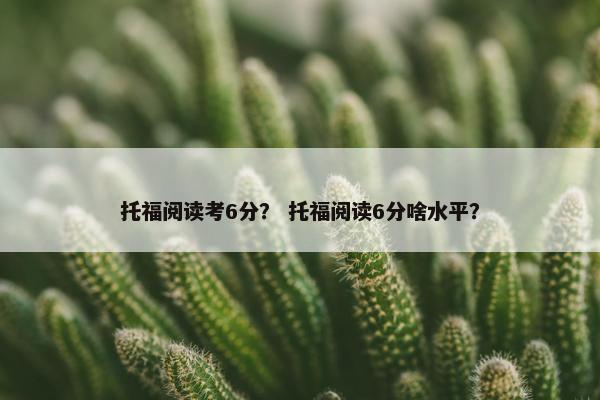托福阅读考6分？ 托福阅读6分啥水平？