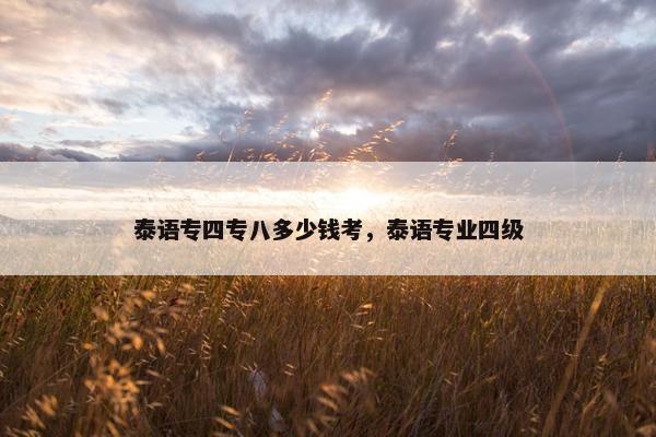 泰语专四专八多少钱考，泰语专业四级
