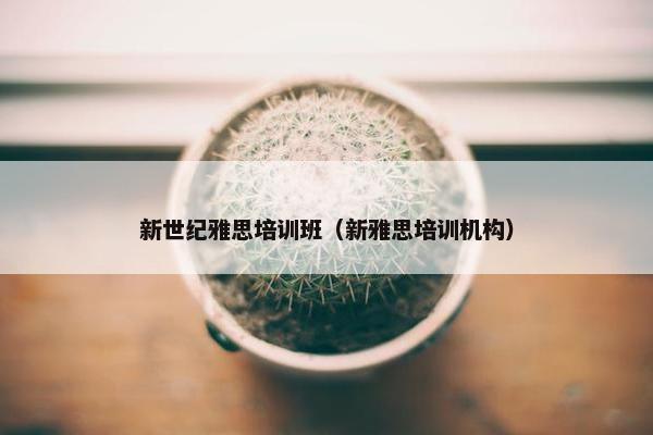 新世纪雅思培训班（新雅思培训机构）