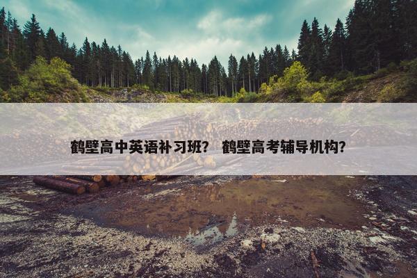 鹤壁高中英语补习班？ 鹤壁高考辅导机构？