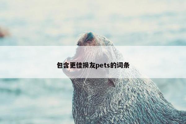 包含更佳损友pets的词条