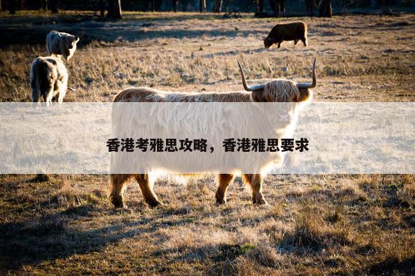 香港考雅思攻略，香港雅思要求