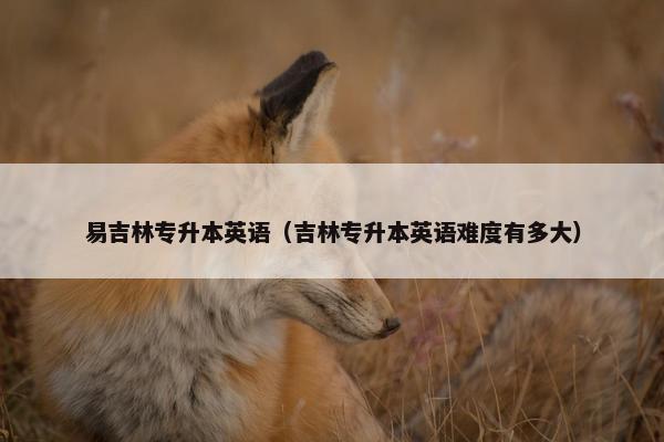 易吉林专升本英语（吉林专升本英语难度有多大）