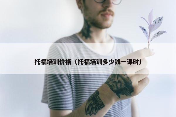 托福培训价格（托福培训多少钱一课时）
