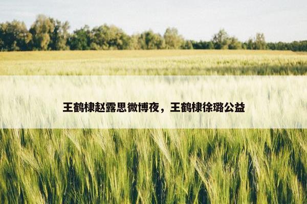 王鹤棣赵露思微博夜，王鹤棣徐璐公益