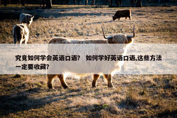 究竟如何学会英语口语？ 如何学好英语口语,这些方法一定要收藏？