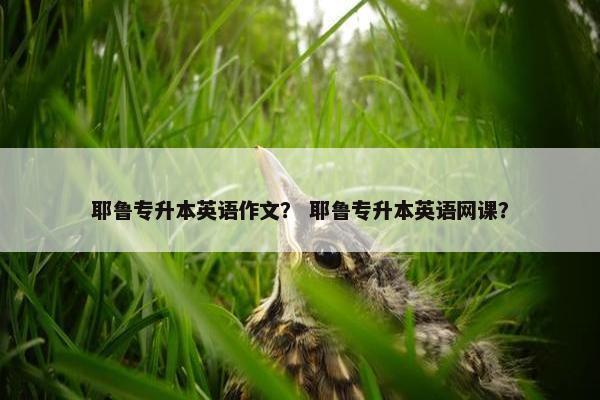 耶鲁专升本英语作文？ 耶鲁专升本英语网课？