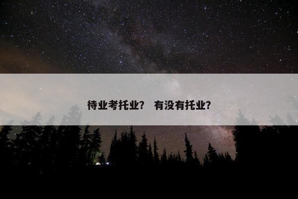 待业考托业？ 有没有托业？