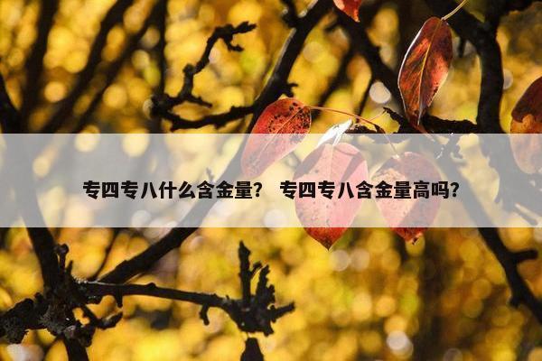 专四专八什么含金量？ 专四专八含金量高吗？