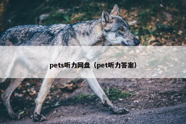 pets听力网盘（pet听力答案）