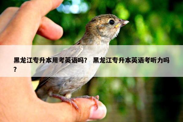 黑龙江专升本用考英语吗？ 黑龙江专升本英语考听力吗？
