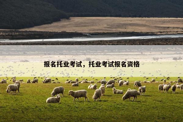 报名托业考试，托业考试报名资格