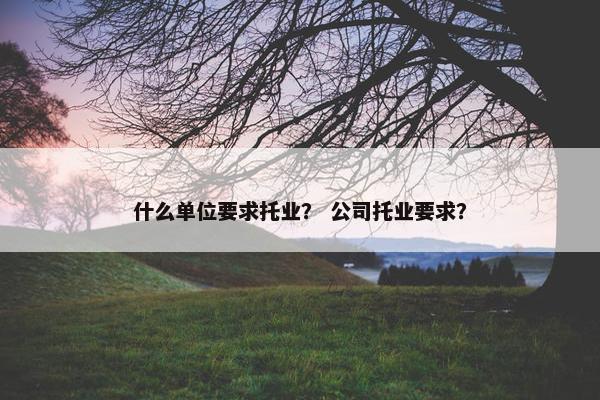什么单位要求托业？ 公司托业要求？