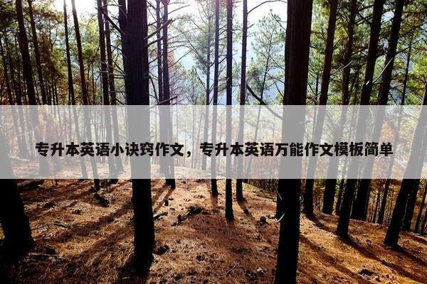 专升本英语小诀窍作文，专升本英语万能作文模板简单