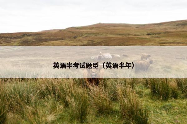 英语半考试题型（英语半年）