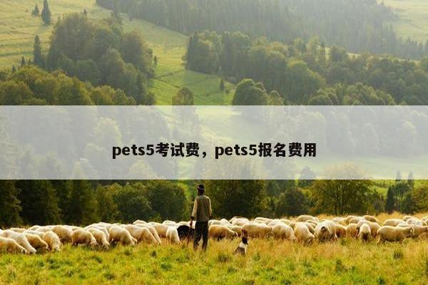 pets5考试费，pets5报名费用