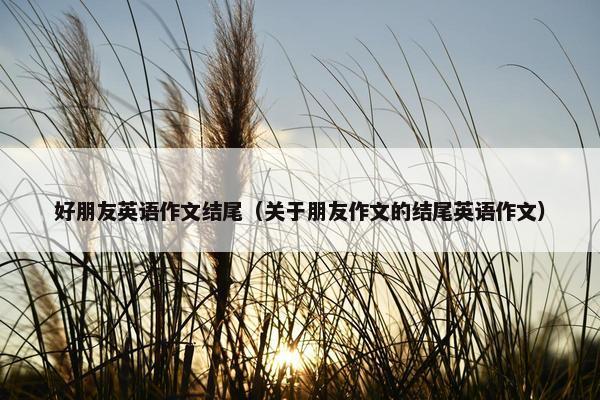 好朋友英语作文结尾（关于朋友作文的结尾英语作文）
