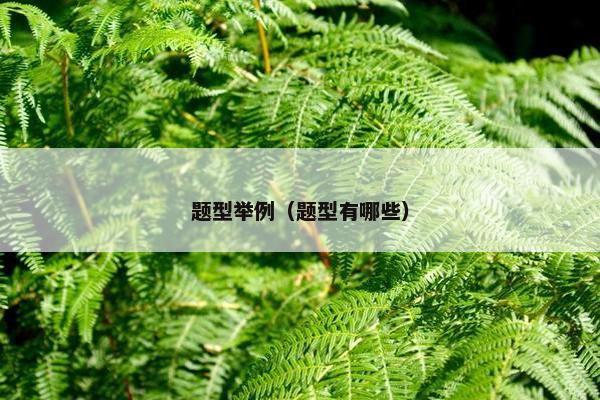 题型举例（题型有哪些）
