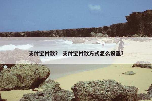 支付宝付款？ 支付宝付款方式怎么设置？