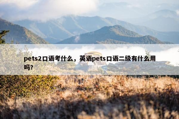 pets2口语考什么，英语pets口语二级有什么用吗?