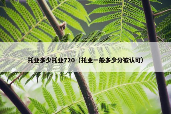 托业多少托业720（托业一般多少分被认可）