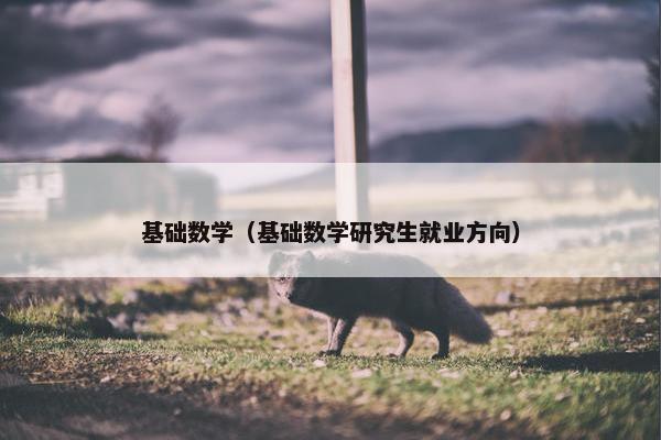 基础数学（基础数学研究生就业方向）