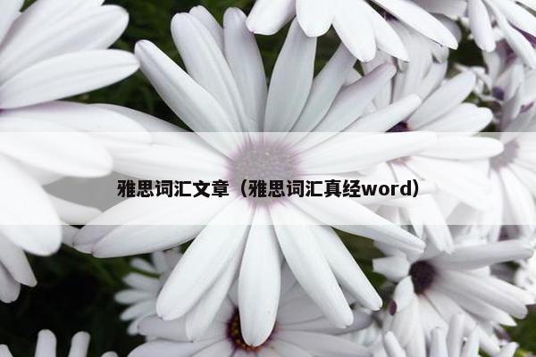 雅思词汇文章（雅思词汇真经word）