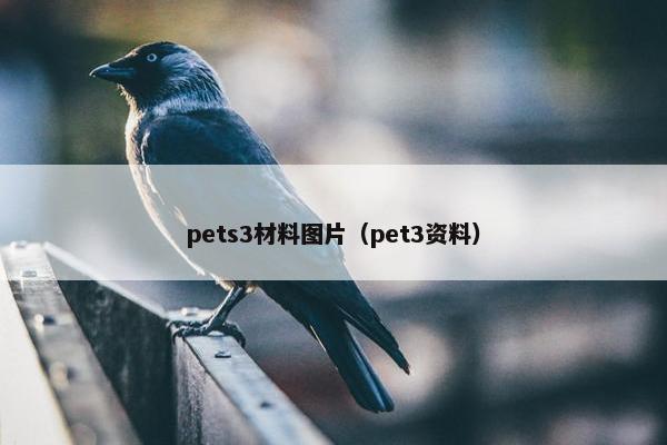 pets3材料图片（pet3资料）