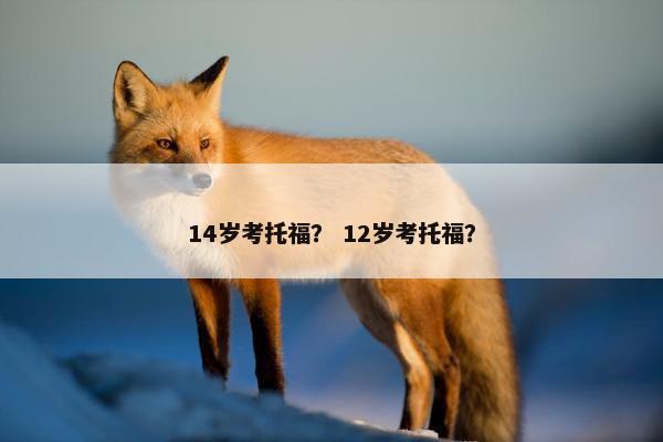 14岁考托福？ 12岁考托福？