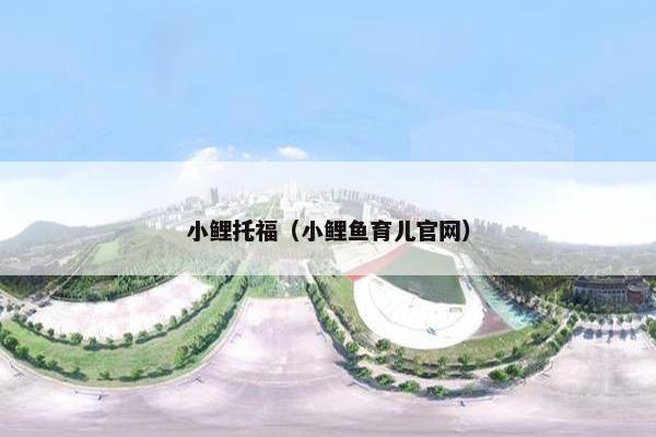 小鲤托福（小鲤鱼育儿官网）