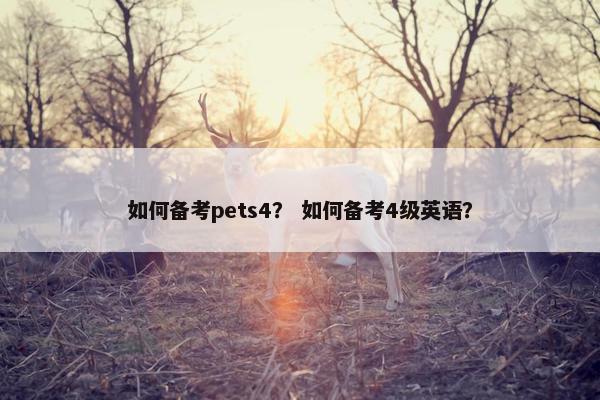 如何备考pets4？ 如何备考4级英语？