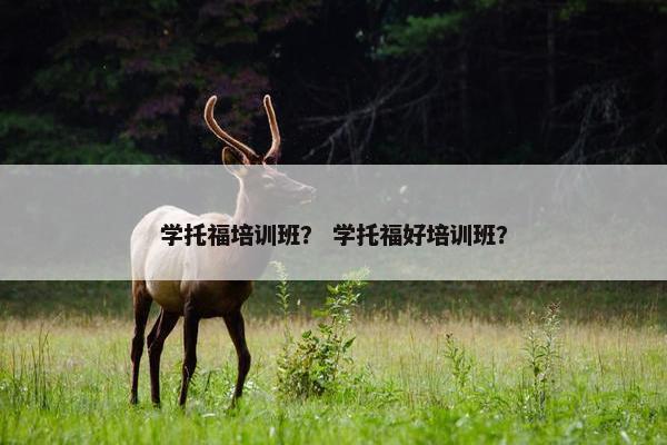 学托福培训班？ 学托福好培训班？