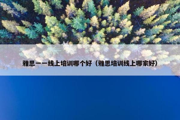 雅思一一线上培训哪个好（雅思培训线上哪家好）