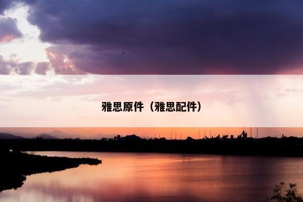 雅思原件（雅思配件）