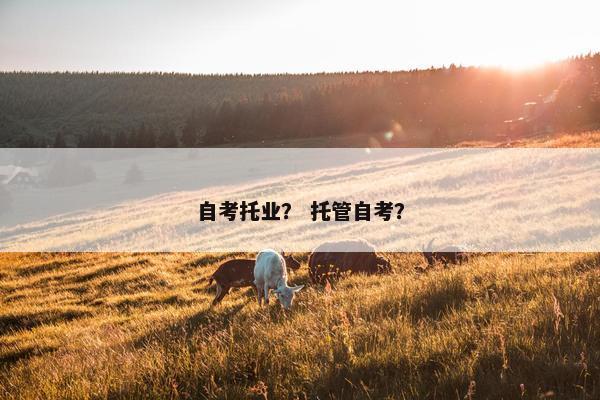 自考托业？ 托管自考？