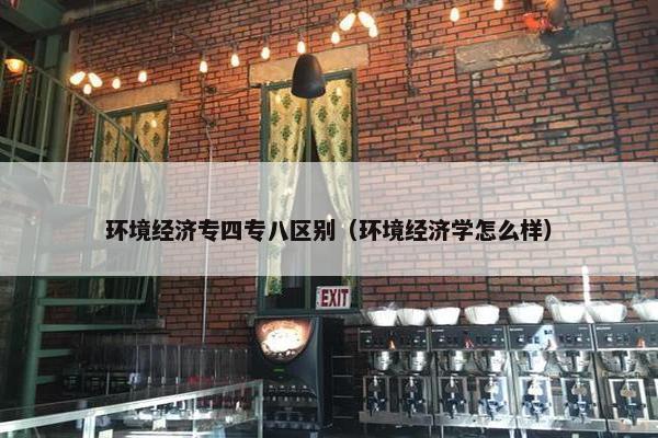 环境经济专四专八区别（环境经济学怎么样）