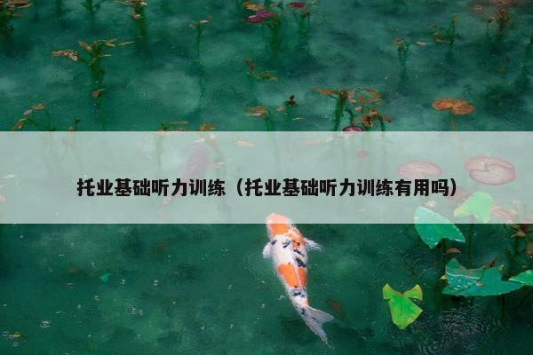 托业基础听力训练（托业基础听力训练有用吗）