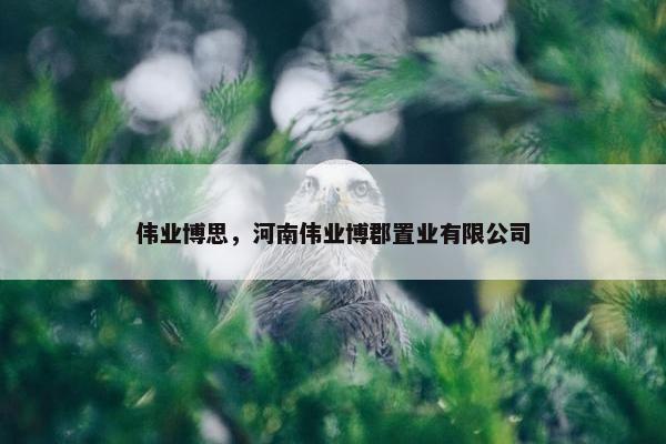 伟业博思，河南伟业博郡置业有限公司