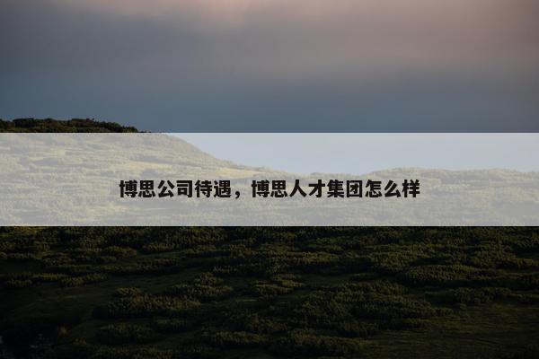 博思公司待遇，博思人才集团怎么样